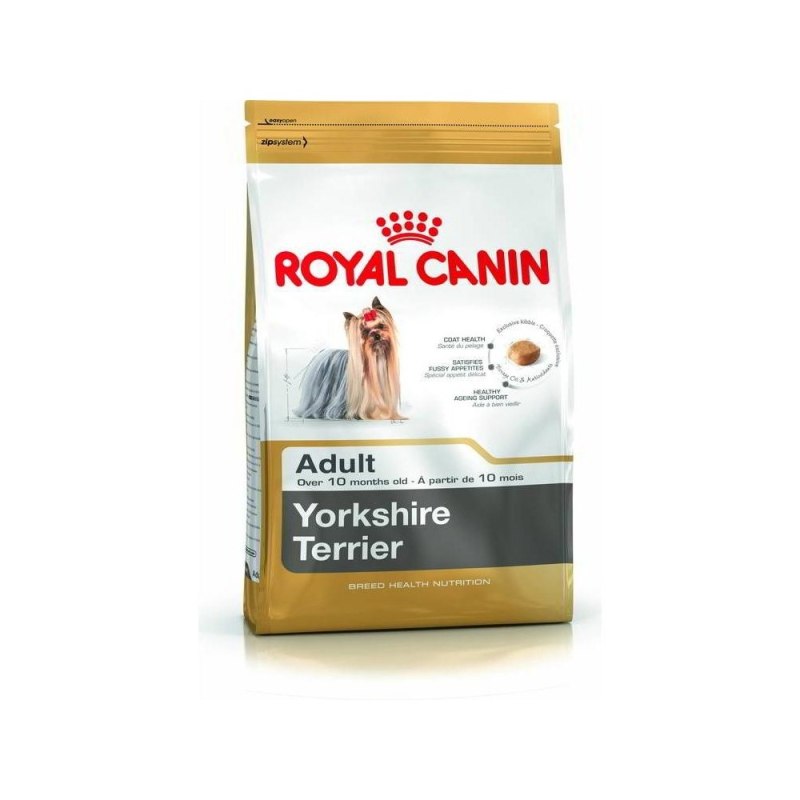 Пудель Royal Canin