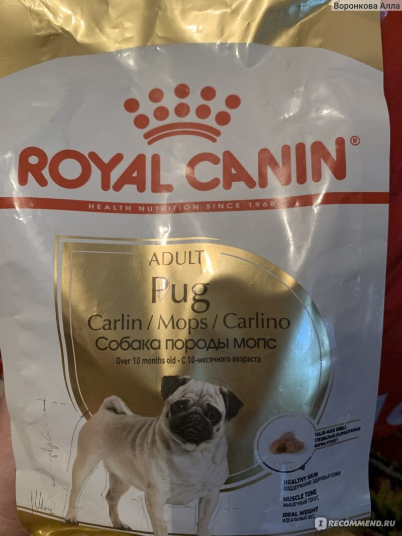 Royal Canin для Джек Рассел