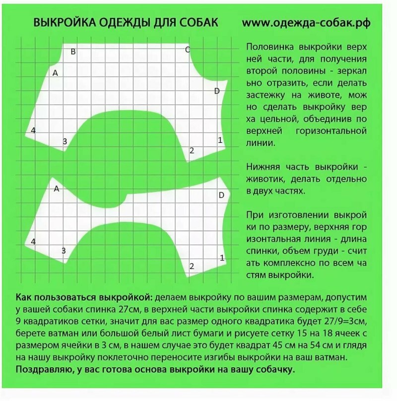 Выкройки одежды для собак Джек Рассел