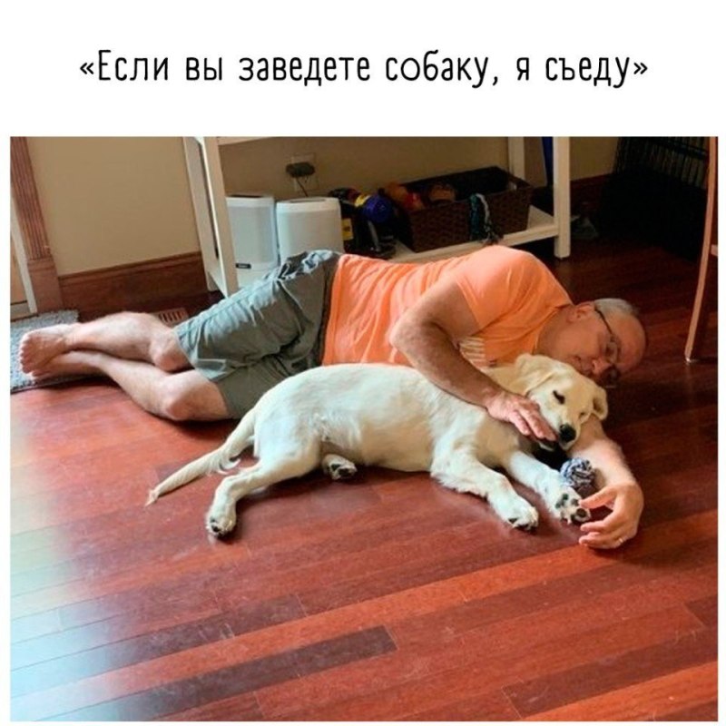 Заведите собаку