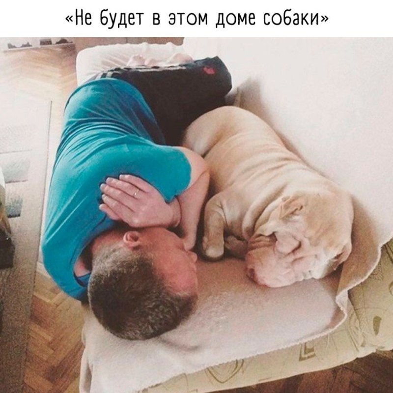 Отец не хочет заводить собаку