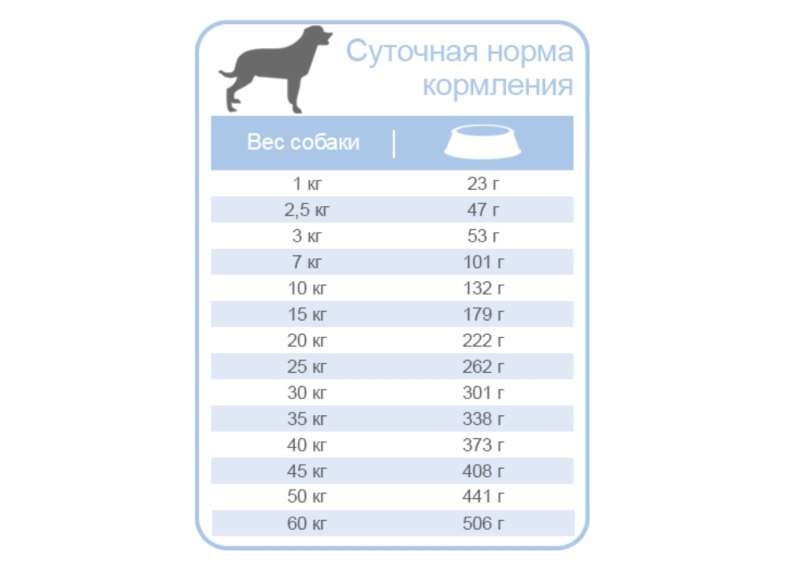 Норма корма для щенка