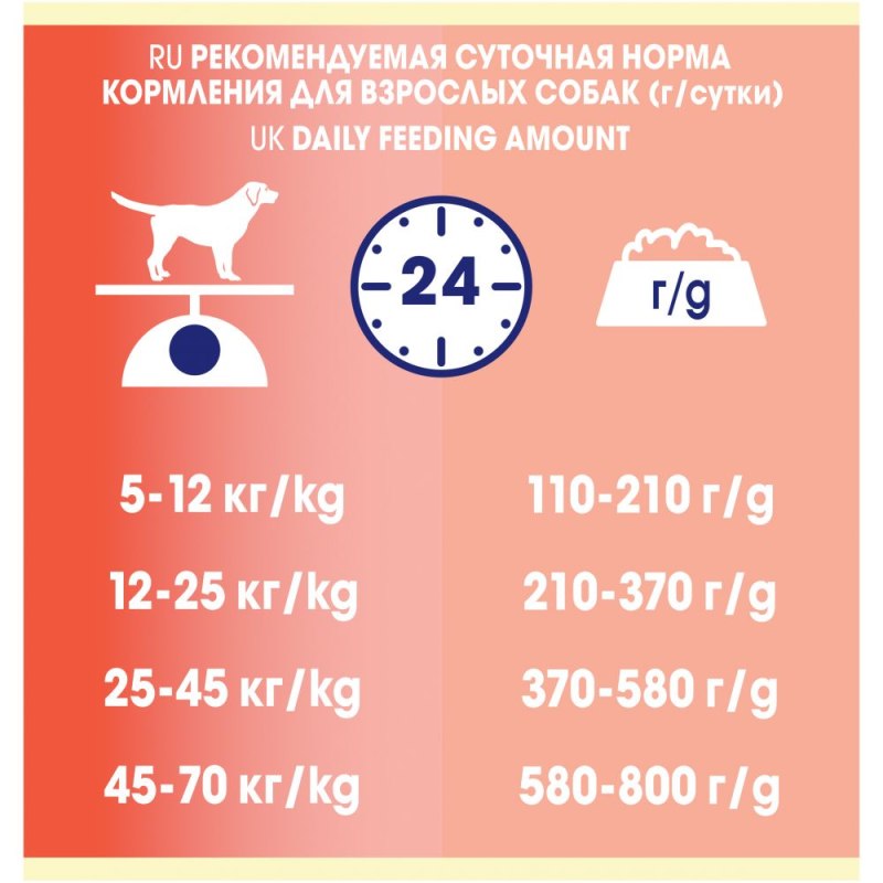 Норма сухого корма для собак