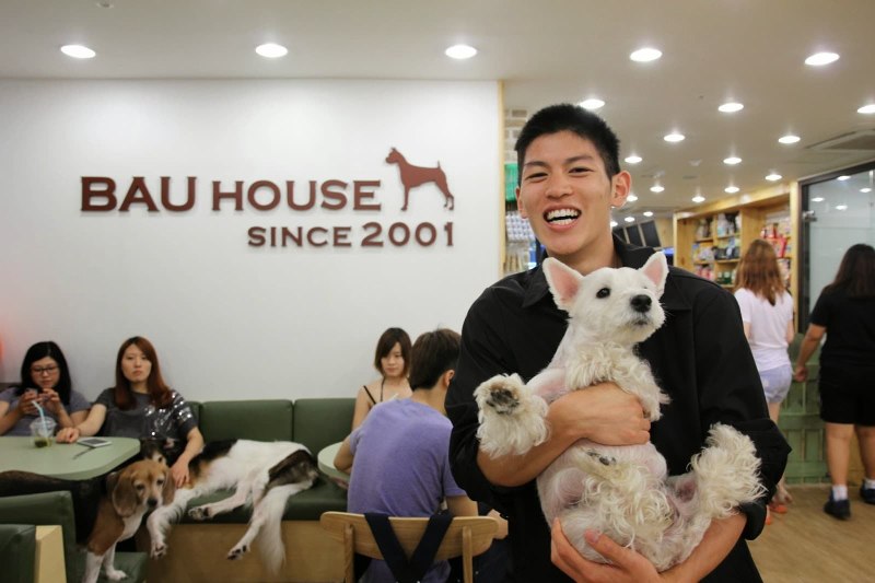 Bau House Dog Cafe Корея