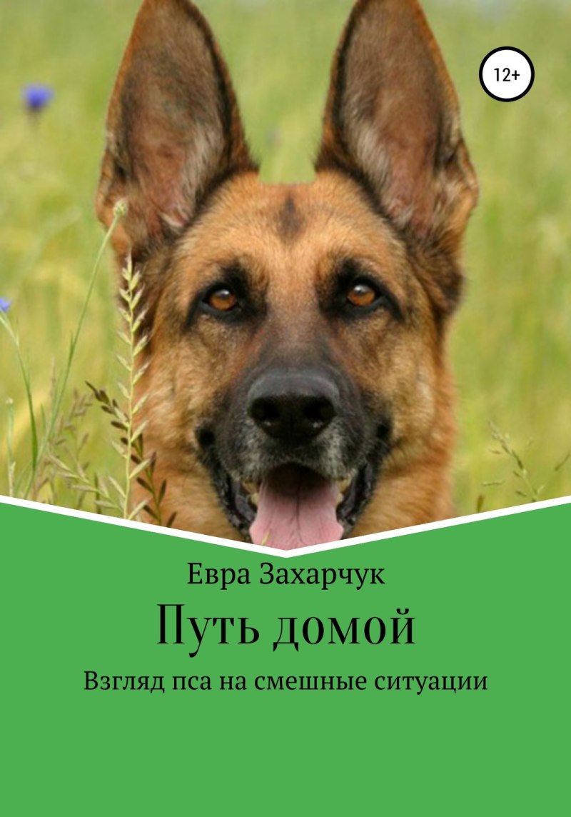 Фотопортрет немецкой овчарки