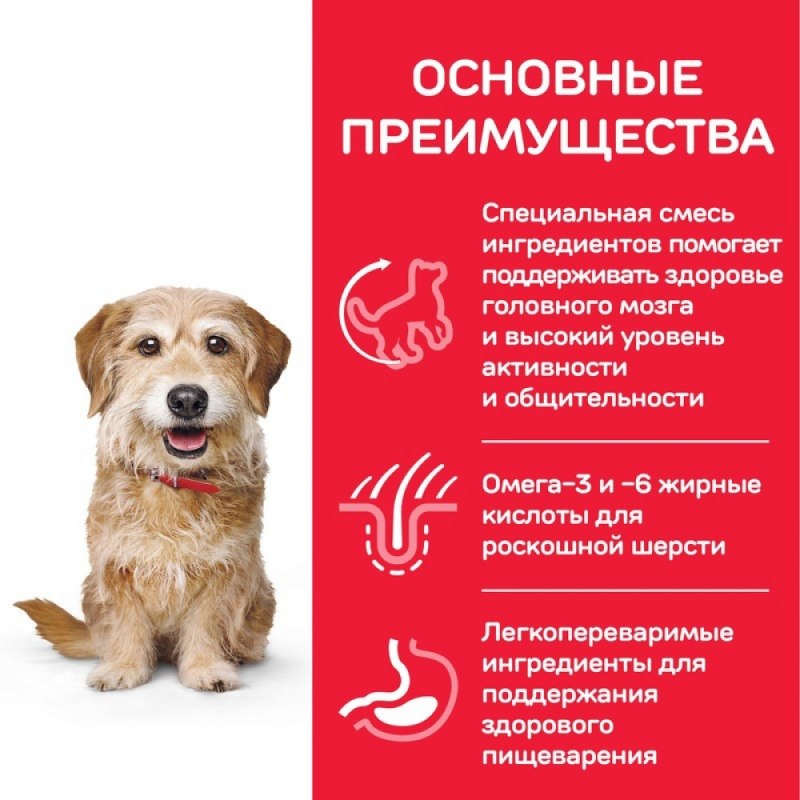 Корм для пожилых собак Hill's Science Plan для здоровья кожи и шерсти, курица с рисом 2.5 кг