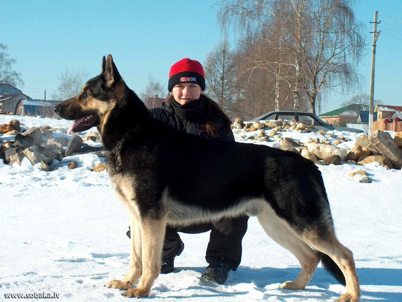 Моншер Вирсаль пират