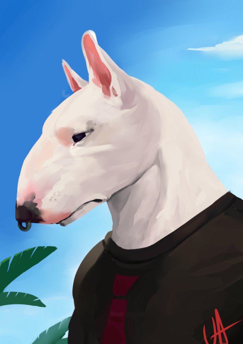 Бультерьер Антро