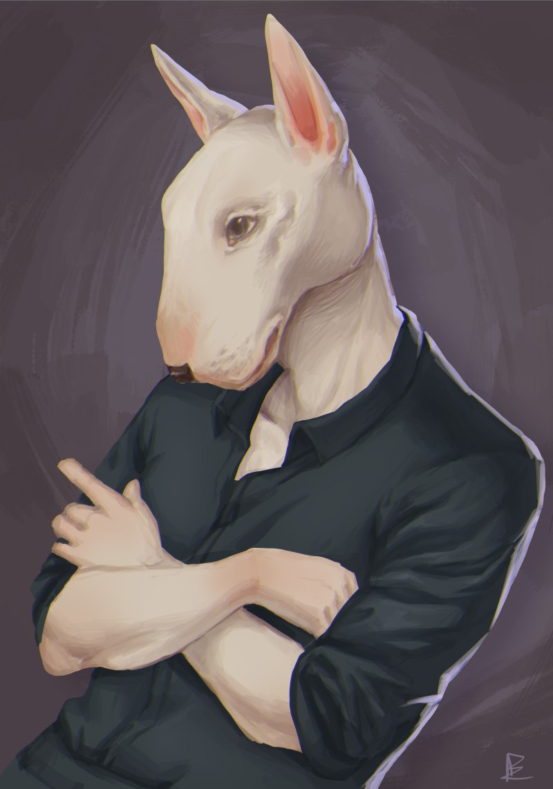 Бультерьер арт