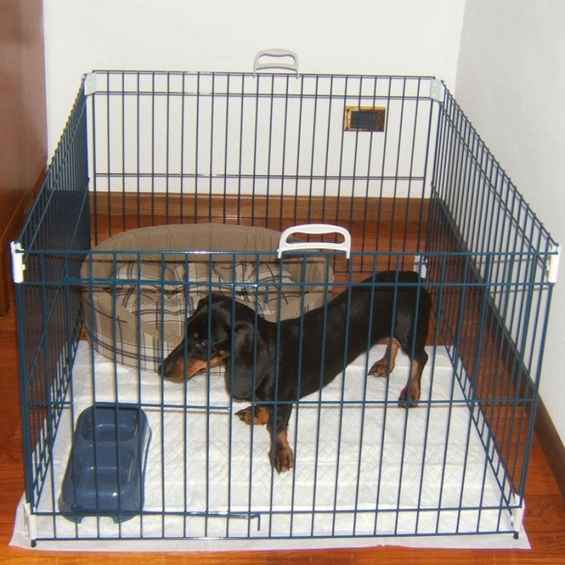 Вольер для собак Ferplast Dog Training 80x80x62