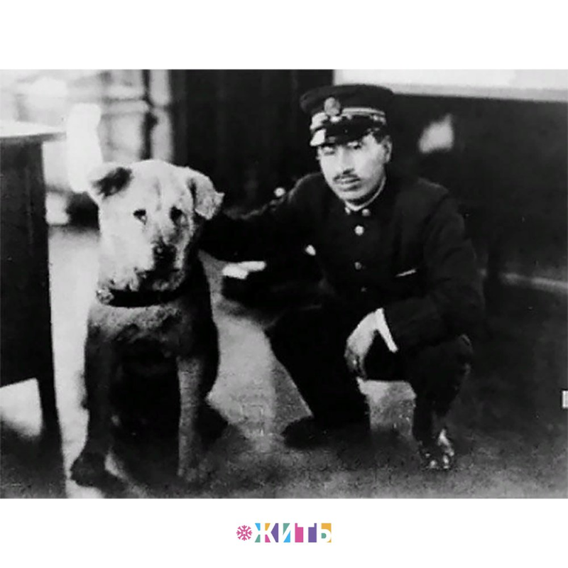 Хатико 1925
