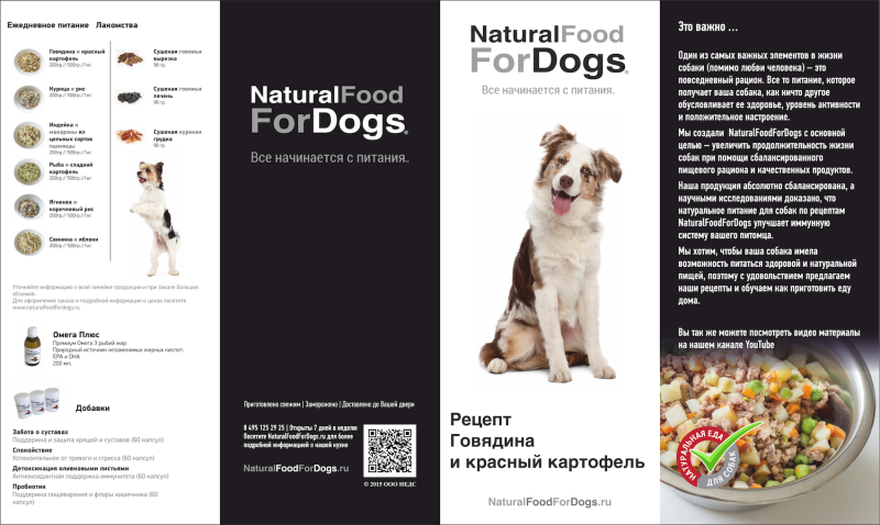 Рацион питания собаки
