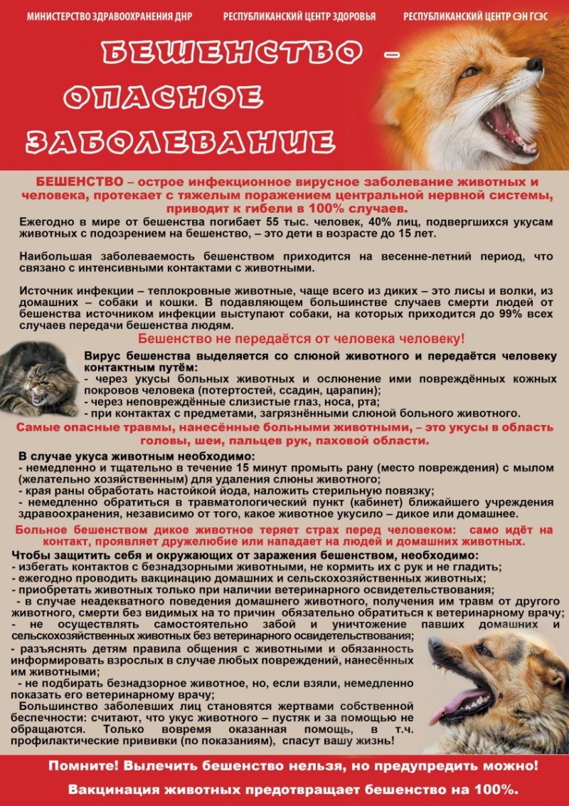Ветклиника ТЕРРАВЕТ