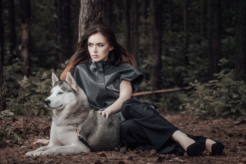 Фотосессия с собакой
