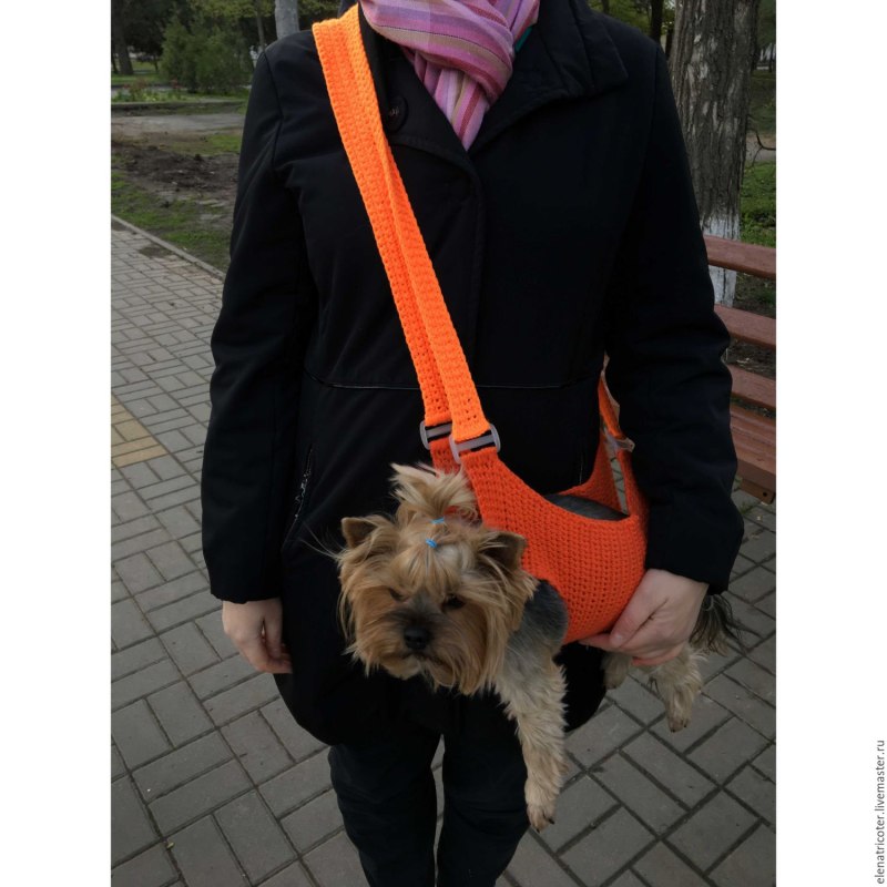 Переноска для йоркширского терьера