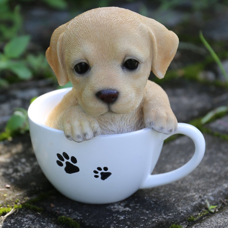 Собачки Teacup