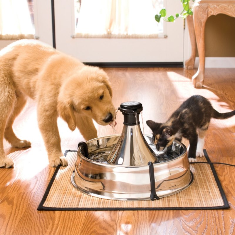 Petsafe Drinkwell 360