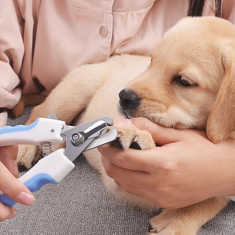 Триммер для когтей / Dog Nail Clipper