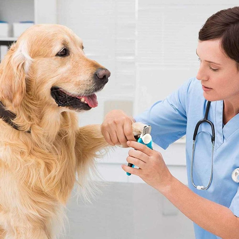 Pet Nail Grinder professional