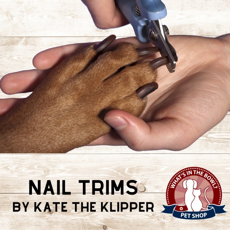 Триммер для когтей / Dog Nail Clipper