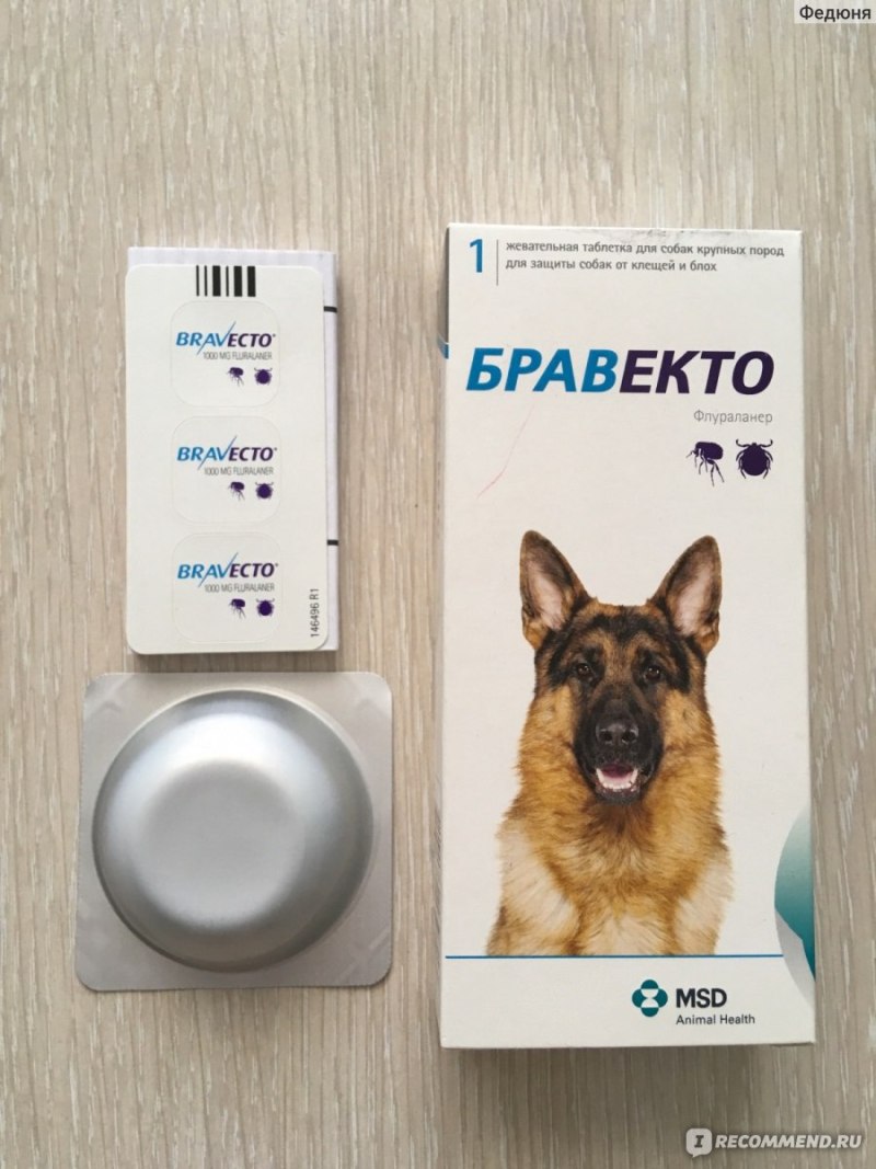 Пироплазмоз или бабезиоз