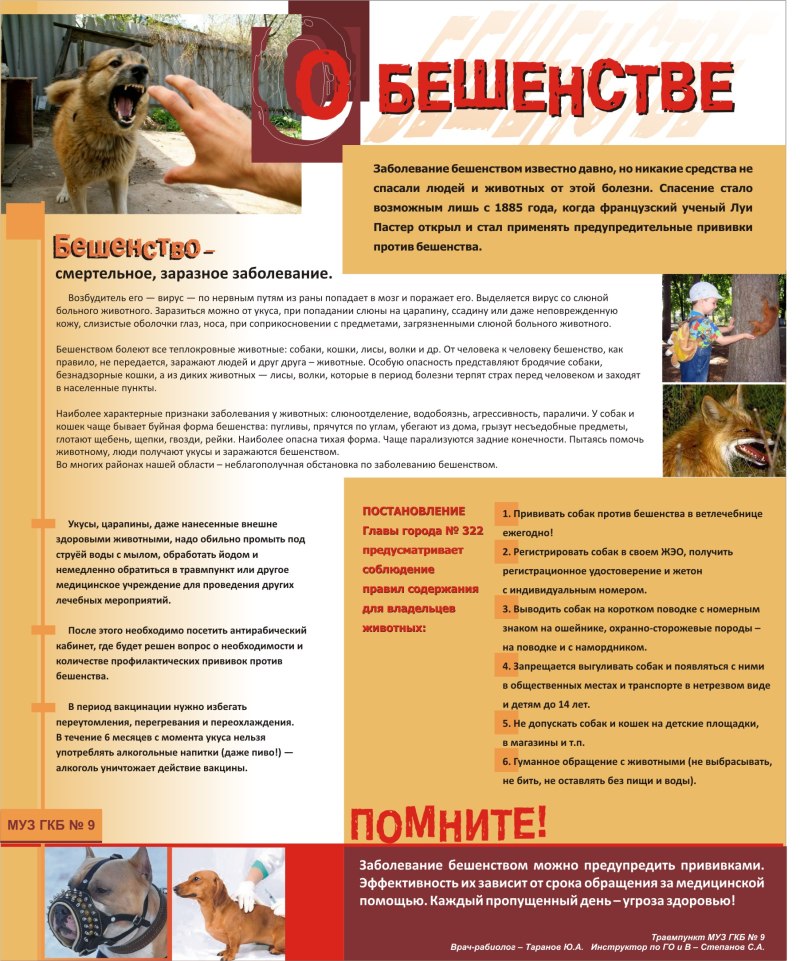 Нападение бойцовых собак