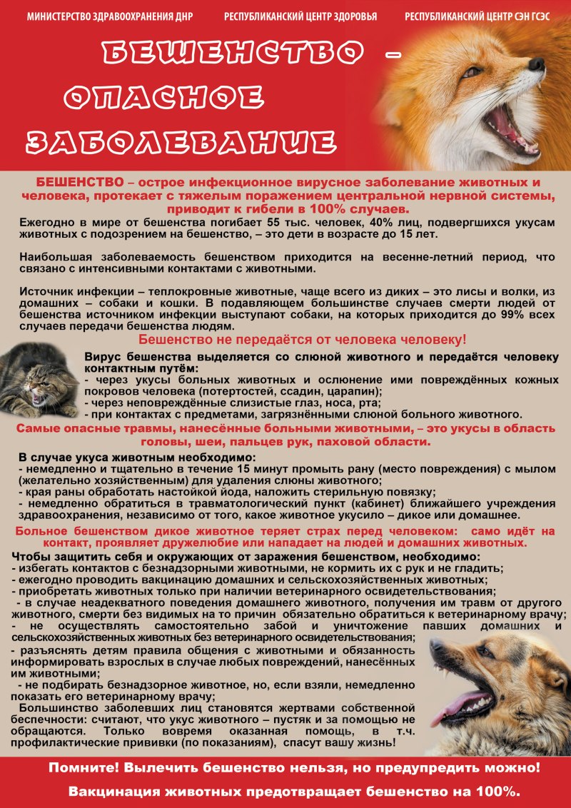 28 Сентября Всемирный день борьбы против бешенства
