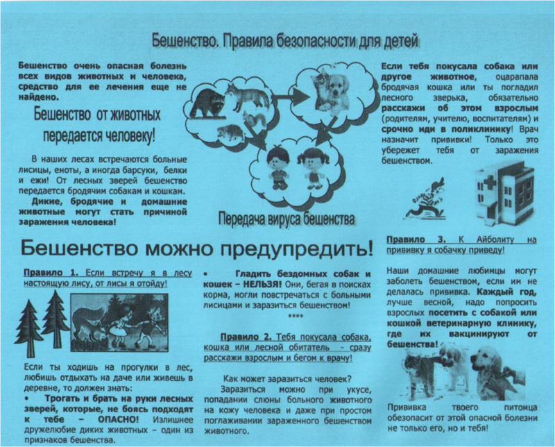 Памятка по бешенству животных для населения