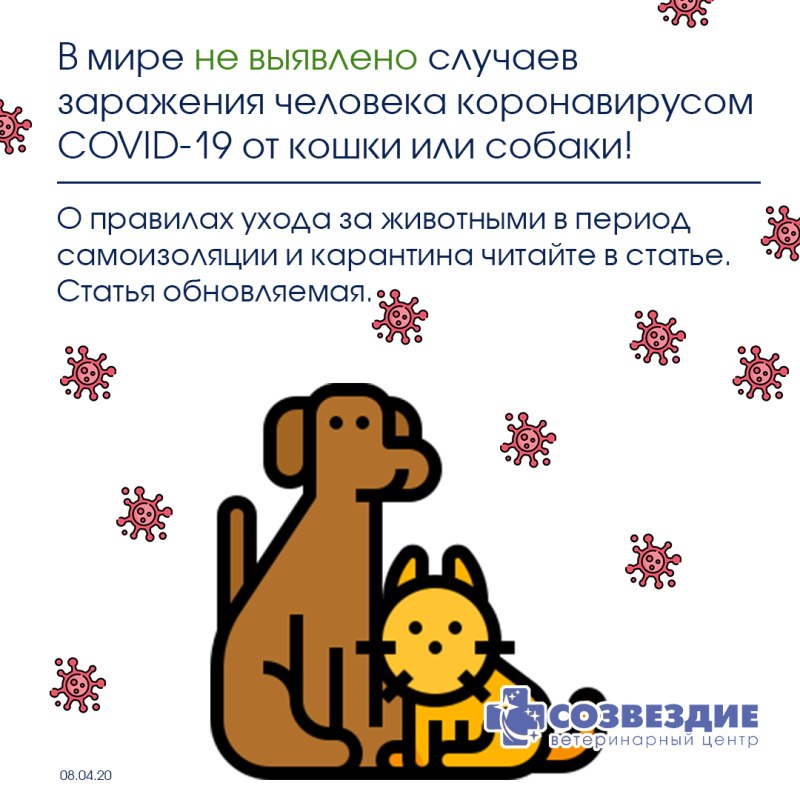 Собаки выявляют коронавирус