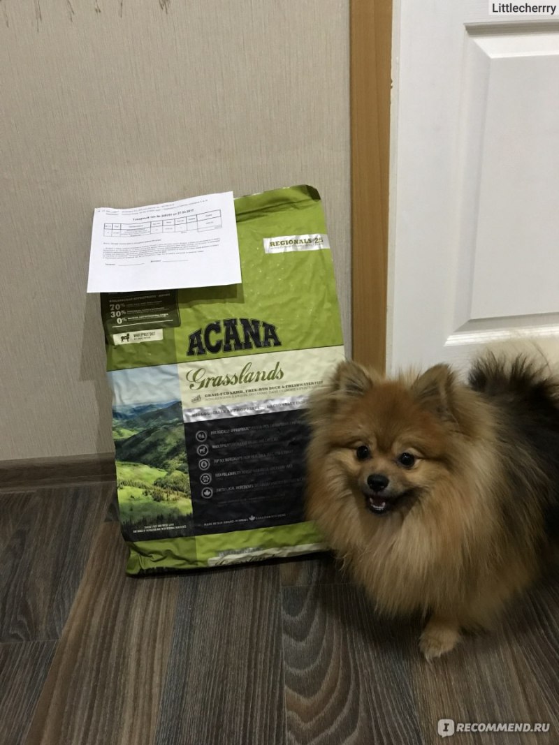 Корма для шпицев Акана