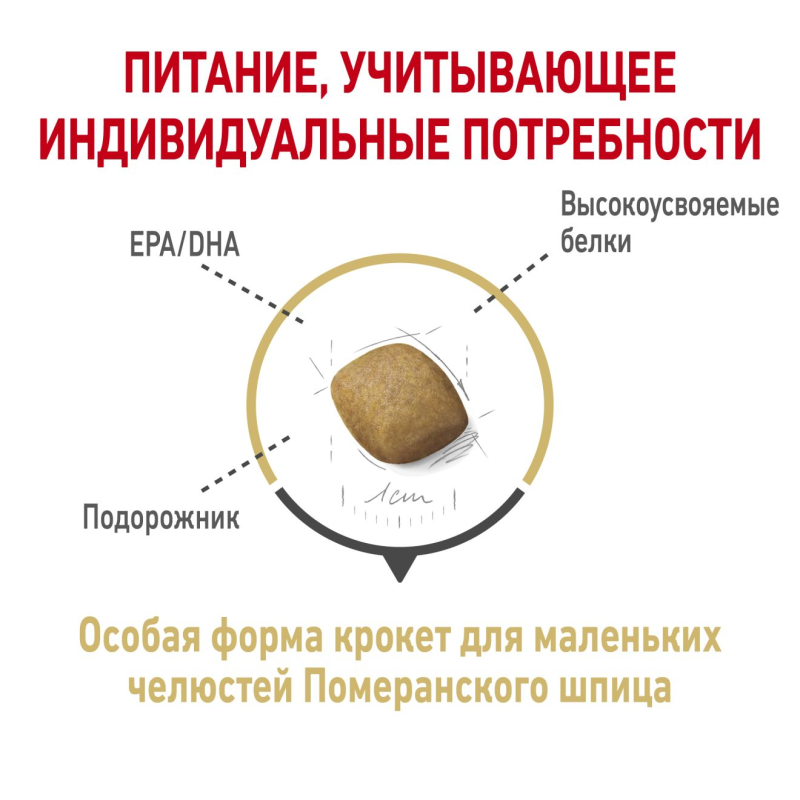 Корм для померанского шпица