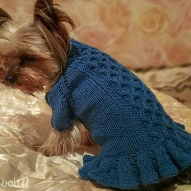 Комбинезон для басенджи