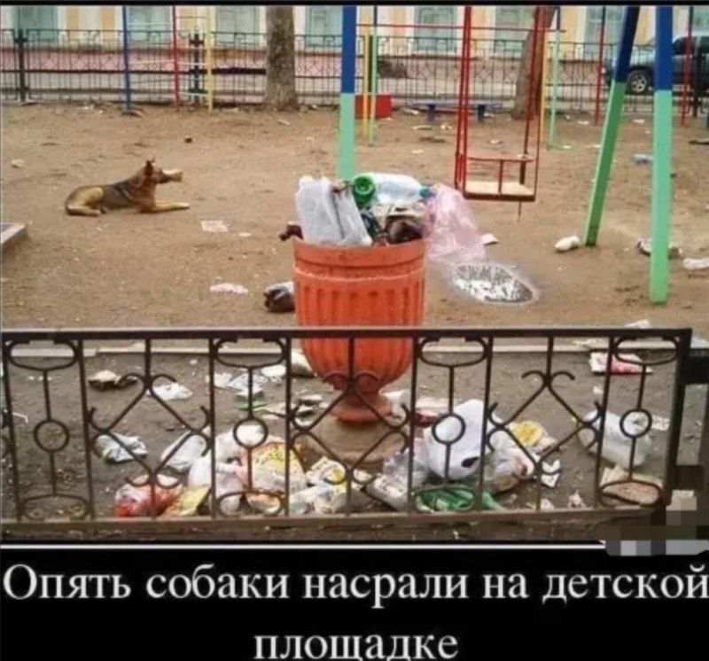 Собака какает на улице