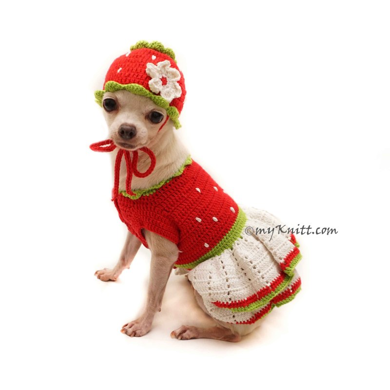 Strawberry Crochet hat for Dog