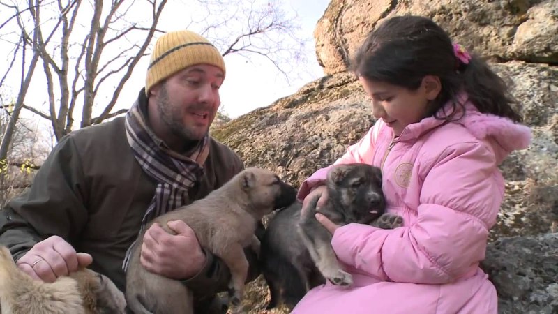 Планета собак армянский Гампр видео