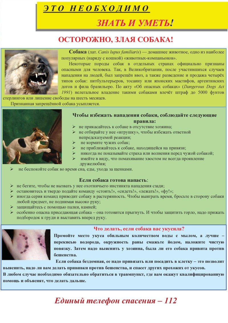 Капли на холку для собак