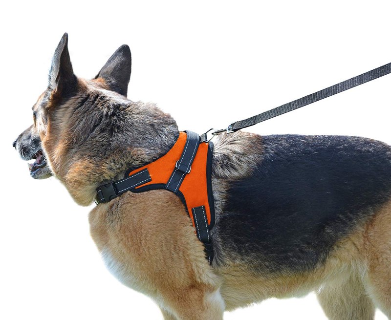 Шлейка Sport Dog harness Set