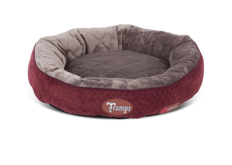 Лежак для собак Scruffs Highland Box Bed s 50х40 см