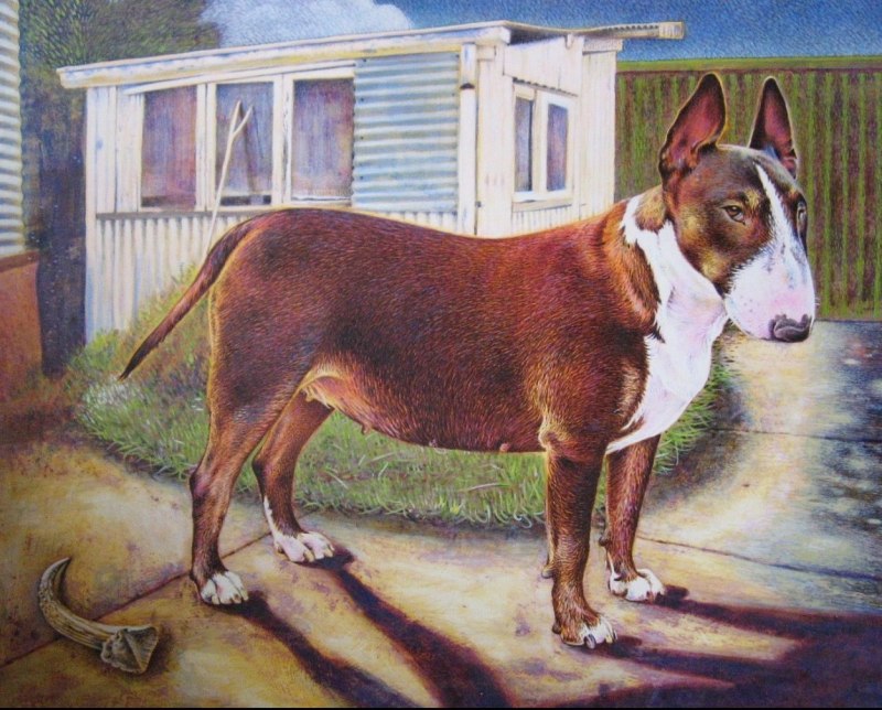 Бультерьер 1880