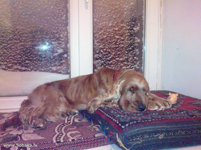 Midwest лежанка Pet Bed меховая 61х46 см коричневая