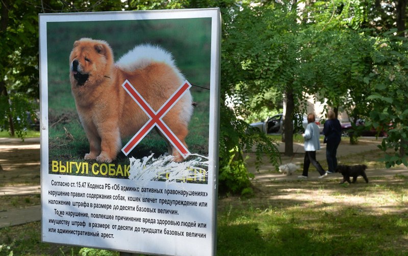 Место для выгула собак