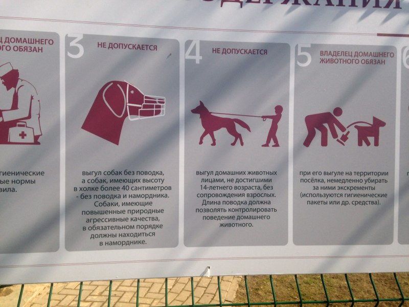 Закон о выгуле собак