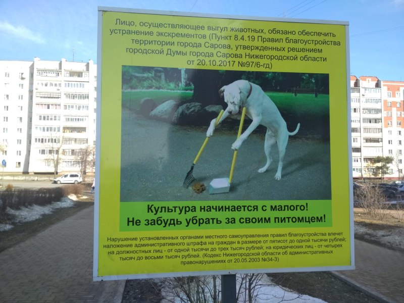 Запрет выгуливать собак во дворе