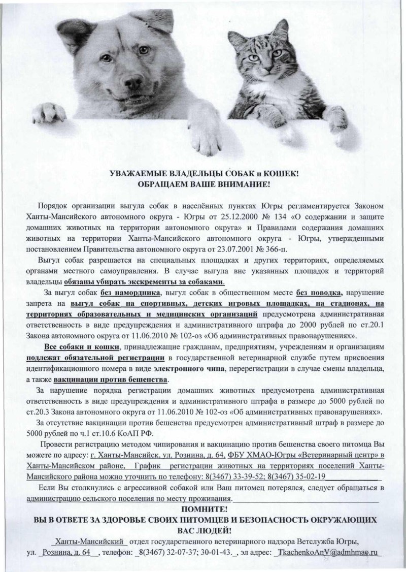 Порядок выгуливания собак