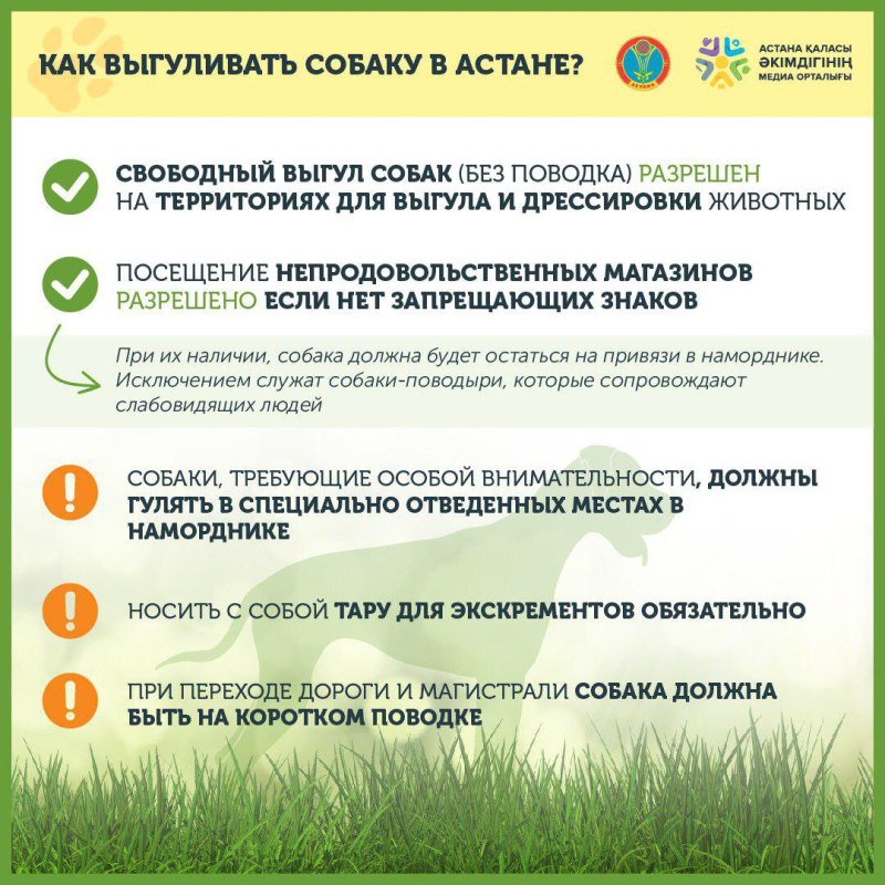 Выгул собак законодательство 2019