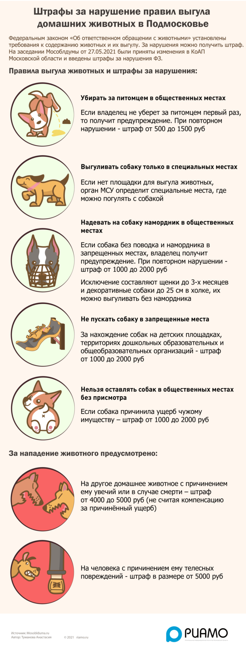 Памятка о бездомных собаках
