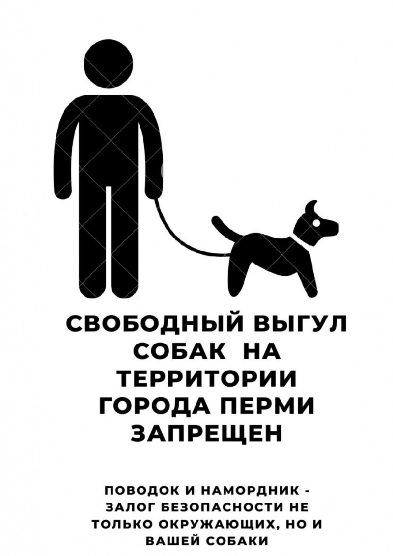 Бесплатная вакцинация