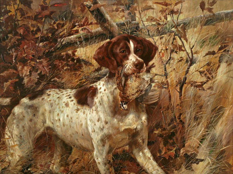 Carl Setter художник