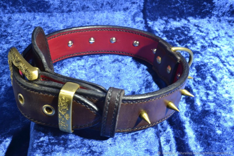 Ошейник гамма с украшением 11232066, 45 см 30-40 см