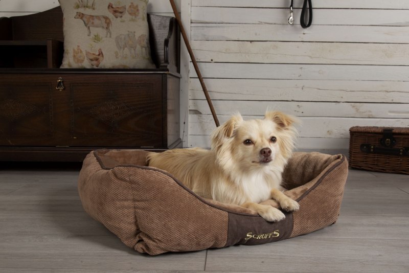 Лежак для животных с бортиками Scruffs Chester